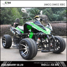 China Import ATV 250cc Water Cooled Quad ATV